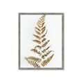 Picture of Dried Fern Leaf  _GroupedProduct_Rectangle_Portrait_Photography _GroupedProduct_Rectangle_Portrait_Framed_Matted_