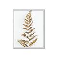 Picture of Dried Fern Leaf  _GroupedProduct_Rectangle_Portrait_Photography _GroupedProduct_Rectangle_Portrait_Framed_Matted_