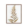 Picture of Dried Fern Leaf  _GroupedProduct_Rectangle_Portrait_Photography _GroupedProduct_Rectangle_Portrait_Framed_Matted_