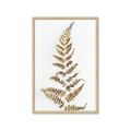 Picture of Dried Fern Leaf  _GroupedProduct_Rectangle_Portrait_Photography _GroupedProduct_Rectangle_Portrait_Framed_Matted_