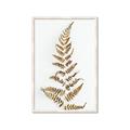Picture of Dried Fern Leaf  _GroupedProduct_Rectangle_Portrait_Photography _GroupedProduct_Rectangle_Portrait_Framed_Matted_