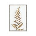 Picture of Dried Fern Leaf  _GroupedProduct_Rectangle_Portrait_Photography _GroupedProduct_Rectangle_Portrait_Framed_Matted_