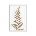 Picture of Dried Fern Leaf  _GroupedProduct_Rectangle_Portrait_Photography _GroupedProduct_Rectangle_Portrait_Framed_Matted_