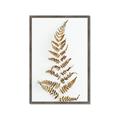 Picture of Dried Fern Leaf  _GroupedProduct_Rectangle_Portrait_Photography _GroupedProduct_Rectangle_Portrait_Framed_Matted_