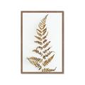 Picture of Dried Fern Leaf  _GroupedProduct_Rectangle_Portrait_Photography _GroupedProduct_Rectangle_Portrait_Framed_Matted_