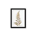 Picture of Dried Fern Leaf  _GroupedProduct_Rectangle_Portrait_Photography _GroupedProduct_Rectangle_Portrait_Framed_Matted_