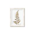 Picture of Dried Fern Leaf  _GroupedProduct_Rectangle_Portrait_Photography _GroupedProduct_Rectangle_Portrait_Framed_Matted_