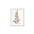 Picture of Dried Fern Leaf  _GroupedProduct_Rectangle_Portrait_Photography _GroupedProduct_Rectangle_Portrait_Framed_Matted_