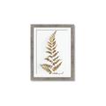 Picture of Dried Fern Leaf  _GroupedProduct_Rectangle_Portrait_Photography _GroupedProduct_Rectangle_Portrait_Framed_Matted_