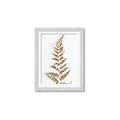 Picture of Dried Fern Leaf  _GroupedProduct_Rectangle_Portrait_Photography _GroupedProduct_Rectangle_Portrait_Framed_Matted_