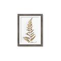 Picture of Dried Fern Leaf  _GroupedProduct_Rectangle_Portrait_Photography _GroupedProduct_Rectangle_Portrait_Framed_Matted_