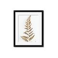 Picture of Dried Fern Leaf  _GroupedProduct_Rectangle_Portrait_Photography _GroupedProduct_Rectangle_Portrait_Framed_Matted_