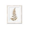 Picture of Dried Fern Leaf  _GroupedProduct_Rectangle_Portrait_Photography _GroupedProduct_Rectangle_Portrait_Framed_Matted_