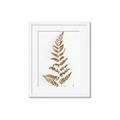 Picture of Dried Fern Leaf  _GroupedProduct_Rectangle_Portrait_Photography _GroupedProduct_Rectangle_Portrait_Framed_Matted_