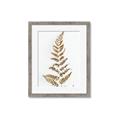 Picture of Dried Fern Leaf  _GroupedProduct_Rectangle_Portrait_Photography _GroupedProduct_Rectangle_Portrait_Framed_Matted_