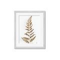 Picture of Dried Fern Leaf  _GroupedProduct_Rectangle_Portrait_Photography _GroupedProduct_Rectangle_Portrait_Framed_Matted_