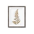 Picture of Dried Fern Leaf  _GroupedProduct_Rectangle_Portrait_Photography _GroupedProduct_Rectangle_Portrait_Framed_Matted_