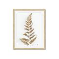 Picture of Dried Fern Leaf  _GroupedProduct_Rectangle_Portrait_Photography _GroupedProduct_Rectangle_Portrait_Framed_Matted_