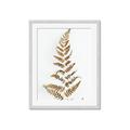 Picture of Dried Fern Leaf  _GroupedProduct_Rectangle_Portrait_Photography _GroupedProduct_Rectangle_Portrait_Framed_Matted_