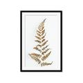 Picture of Dried Fern Leaf  _GroupedProduct_Rectangle_Portrait_Photography _GroupedProduct_Rectangle_Portrait_Framed_Matted_