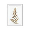 Picture of Dried Fern Leaf  _GroupedProduct_Rectangle_Portrait_Photography _GroupedProduct_Rectangle_Portrait_Framed_Matted_