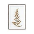 Picture of Dried Fern Leaf  _GroupedProduct_Rectangle_Portrait_Photography _GroupedProduct_Rectangle_Portrait_Framed_Matted_