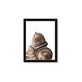 Picture of Fallen Acorns _GroupedProduct_Rectangle_Portrait_Photography _GroupedProduct_Rectangle_Portrait_Framed_Matted_