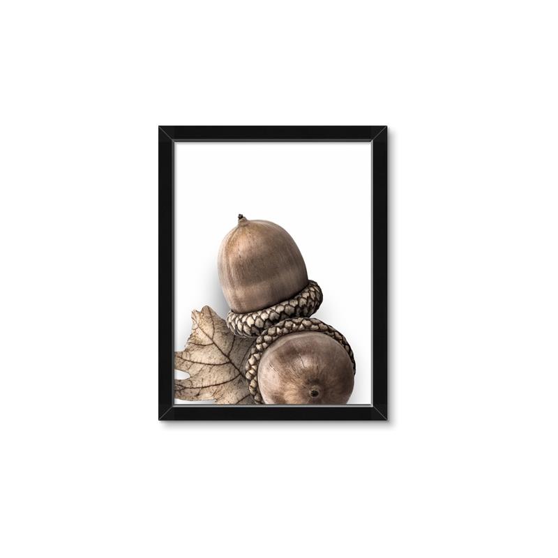 Picture of Fallen Acorns _GroupedProduct_Rectangle_Portrait_Photography _GroupedProduct_Rectangle_Portrait_Framed_Matted_