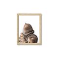 Picture of Fallen Acorns _GroupedProduct_Rectangle_Portrait_Photography _GroupedProduct_Rectangle_Portrait_Framed_Matted_