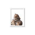 Picture of Fallen Acorns _GroupedProduct_Rectangle_Portrait_Photography _GroupedProduct_Rectangle_Portrait_Framed_Matted_