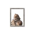 Picture of Fallen Acorns _GroupedProduct_Rectangle_Portrait_Photography _GroupedProduct_Rectangle_Portrait_Framed_Matted_