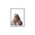 Picture of Fallen Acorns _GroupedProduct_Rectangle_Portrait_Photography _GroupedProduct_Rectangle_Portrait_Framed_Matted_