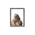 Picture of Fallen Acorns _GroupedProduct_Rectangle_Portrait_Photography _GroupedProduct_Rectangle_Portrait_Framed_Matted_