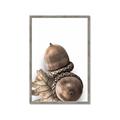 Picture of Fallen Acorns _GroupedProduct_Rectangle_Portrait_Photography _GroupedProduct_Rectangle_Portrait_Framed_Matted_
