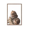 Picture of Fallen Acorns _GroupedProduct_Rectangle_Portrait_Photography _GroupedProduct_Rectangle_Portrait_Framed_Matted_