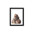 Picture of Fallen Acorns _GroupedProduct_Rectangle_Portrait_Photography _GroupedProduct_Rectangle_Portrait_Framed_Matted_