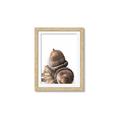 Picture of Fallen Acorns _GroupedProduct_Rectangle_Portrait_Photography _GroupedProduct_Rectangle_Portrait_Framed_Matted_