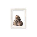 Picture of Fallen Acorns _GroupedProduct_Rectangle_Portrait_Photography _GroupedProduct_Rectangle_Portrait_Framed_Matted_