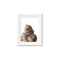 Picture of Fallen Acorns _GroupedProduct_Rectangle_Portrait_Photography _GroupedProduct_Rectangle_Portrait_Framed_Matted_