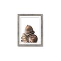 Picture of Fallen Acorns _GroupedProduct_Rectangle_Portrait_Photography _GroupedProduct_Rectangle_Portrait_Framed_Matted_