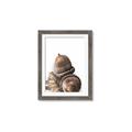Picture of Fallen Acorns _GroupedProduct_Rectangle_Portrait_Photography _GroupedProduct_Rectangle_Portrait_Framed_Matted_