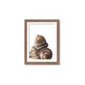 Picture of Fallen Acorns _GroupedProduct_Rectangle_Portrait_Photography _GroupedProduct_Rectangle_Portrait_Framed_Matted_