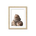 Picture of Fallen Acorns _GroupedProduct_Rectangle_Portrait_Photography _GroupedProduct_Rectangle_Portrait_Framed_Matted_