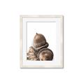 Picture of Fallen Acorns _GroupedProduct_Rectangle_Portrait_Photography _GroupedProduct_Rectangle_Portrait_Framed_Matted_