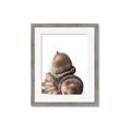 Picture of Fallen Acorns _GroupedProduct_Rectangle_Portrait_Photography _GroupedProduct_Rectangle_Portrait_Framed_Matted_