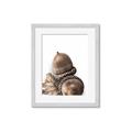 Picture of Fallen Acorns _GroupedProduct_Rectangle_Portrait_Photography _GroupedProduct_Rectangle_Portrait_Framed_Matted_