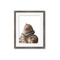 Picture of Fallen Acorns _GroupedProduct_Rectangle_Portrait_Photography _GroupedProduct_Rectangle_Portrait_Framed_Matted_
