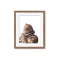 Picture of Fallen Acorns _GroupedProduct_Rectangle_Portrait_Photography _GroupedProduct_Rectangle_Portrait_Framed_Matted_