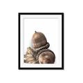 Picture of Fallen Acorns _GroupedProduct_Rectangle_Portrait_Photography _GroupedProduct_Rectangle_Portrait_Framed_Matted_