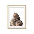 Picture of Fallen Acorns _GroupedProduct_Rectangle_Portrait_Photography _GroupedProduct_Rectangle_Portrait_Framed_Matted_